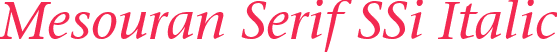 Mesouran Serif SSi Italic